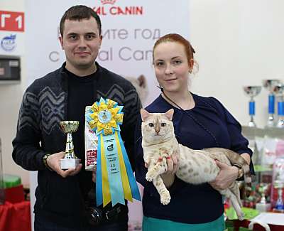   11-12  2015 WCF- 10-115-169A4343 copy.jpg